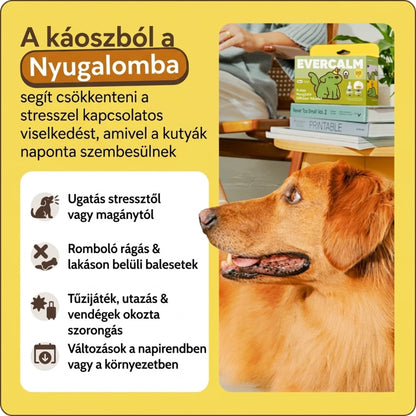 EVERCALM - Kutya Nyugtató Diffúzor Készlet
