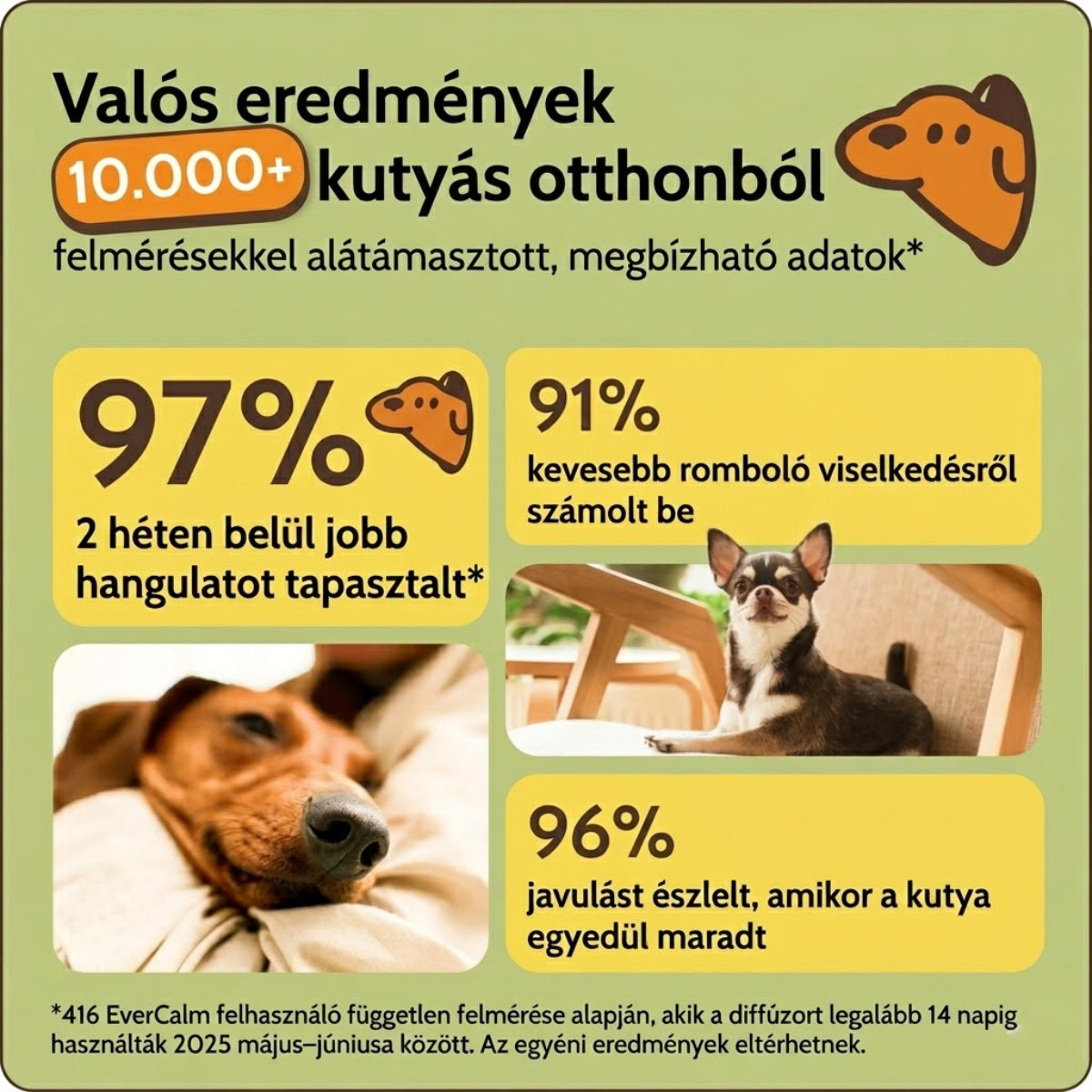 EVERCALM - Kutya Nyugtató Diffúzor Készlet