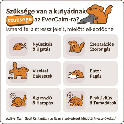 EVERCALM - Kutya Nyugtató Diffúzor Készlet